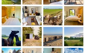 Natuurhuis Zeeuwse Rust voor wandelingen aan zee, fietstochten in natuur en culinair genieten
