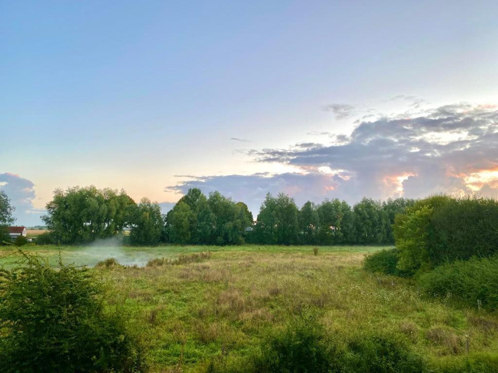 Natuurhuis Zeeuwse Rust voor wandelingen aan zee, fietstochten in natuur en culinair genieten Villa IJzendijke Buitenkant foto