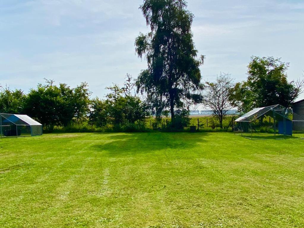 Natuurhuis Zeeuwse Rust voor wandelingen aan zee, fietstochten in natuur en culinair genieten Villa IJzendijke Buitenkant foto