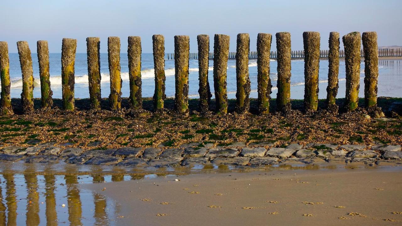 Natuurhuis Zeeuwse Rust voor wandelingen aan zee, fietstochten in natuur en culinair genieten Villa IJzendijke Buitenkant foto